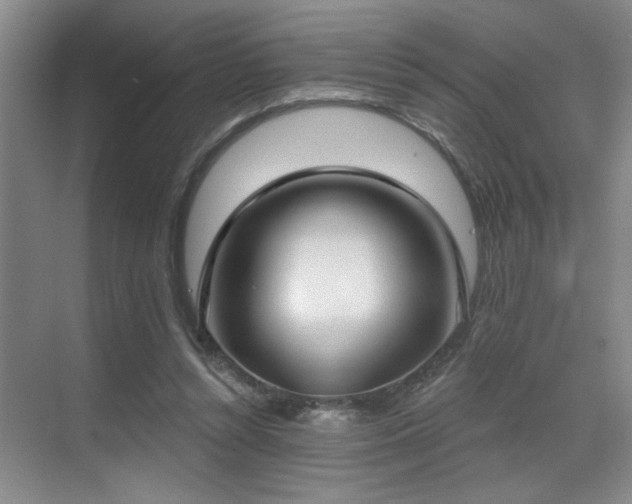 X0000070360352200606121215