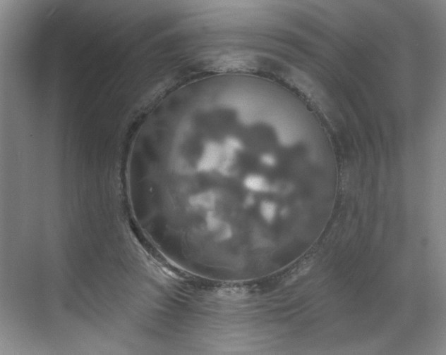 X0000070360353200606121215