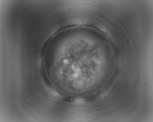 X0000070360355200606121215