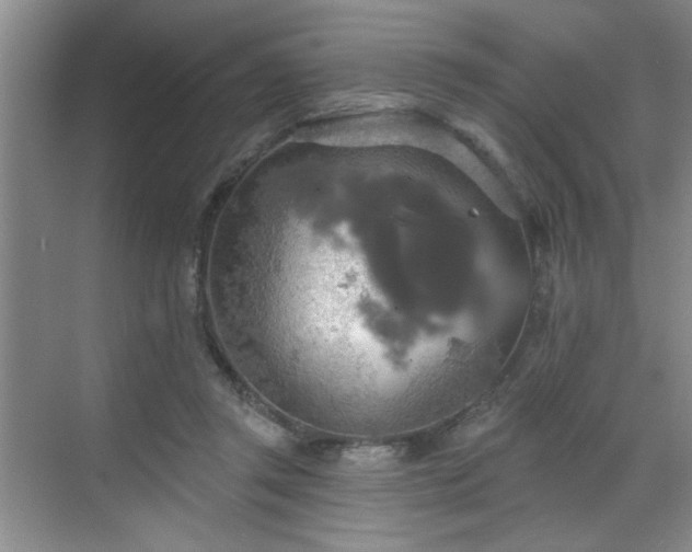 X0000070360357200606121215