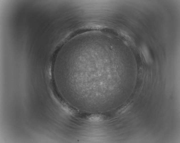 X0000070360358200606121215