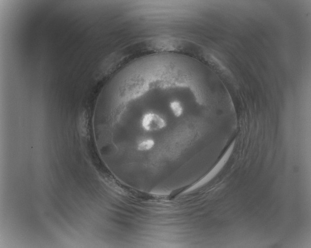 X0000070360359200606121215