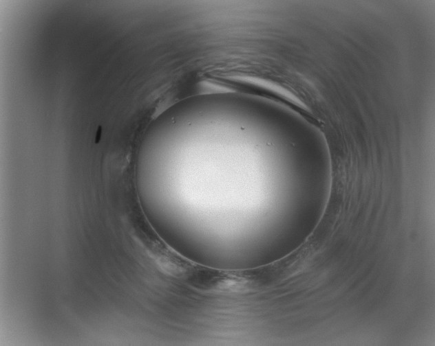 X0000070360364200606121215