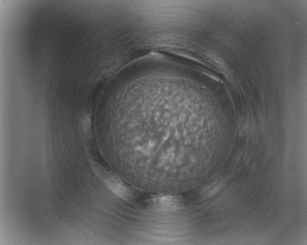 X0000070360365200606121215