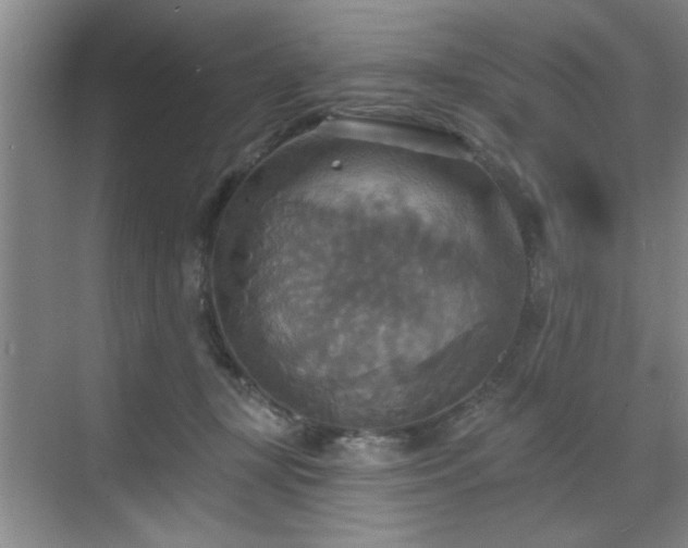 X0000070360367200606121215