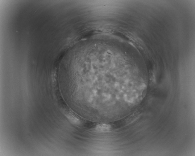 X0000070360369200606121215