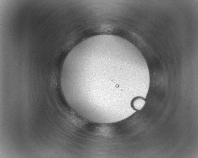 X0000070360370200606121215