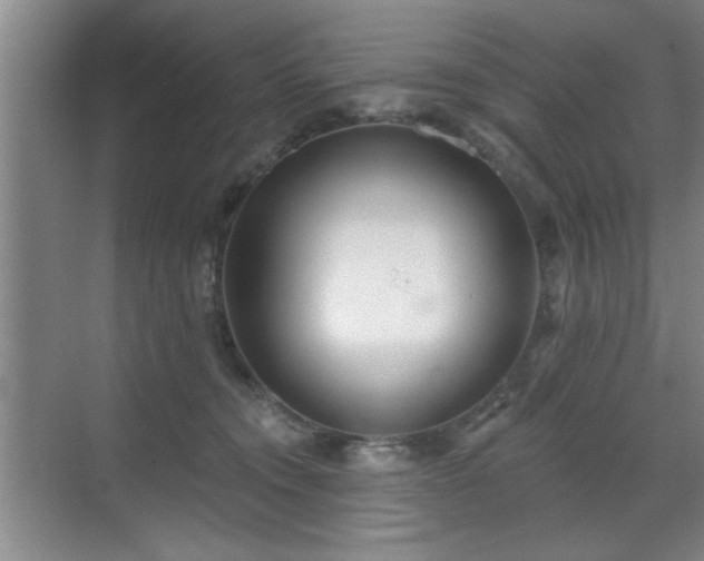 X0000070360372200606121215