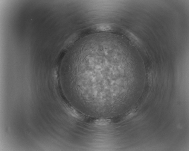 X0000070360373200606121215