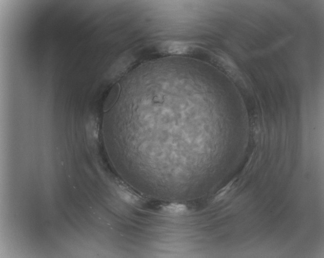 X0000070360374200606121215