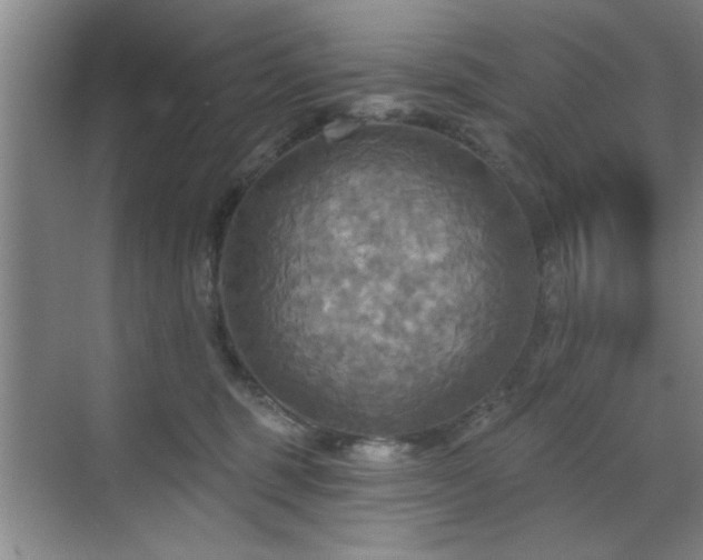 X0000070360375200606121215