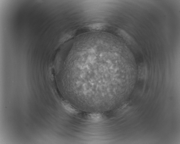 X0000070360377200606121215