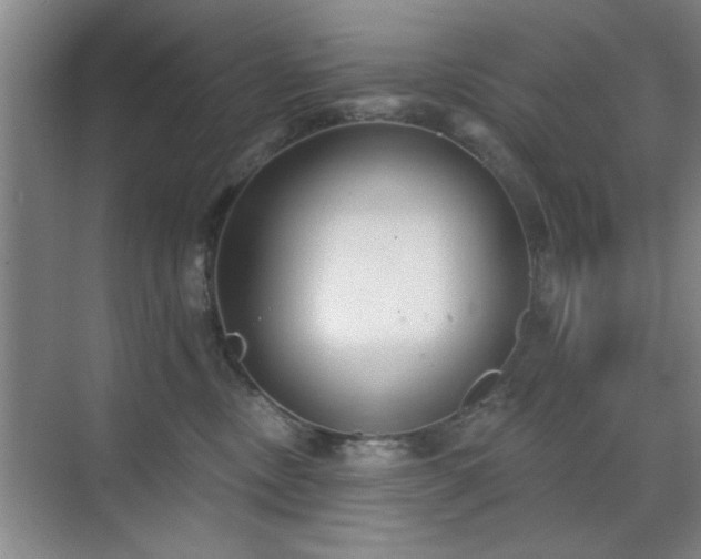 X0000070360378200606121215