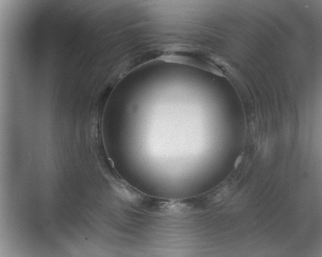 X0000070360379200606121215