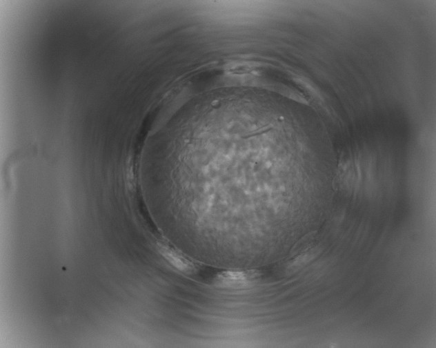 X0000070360381200606121215