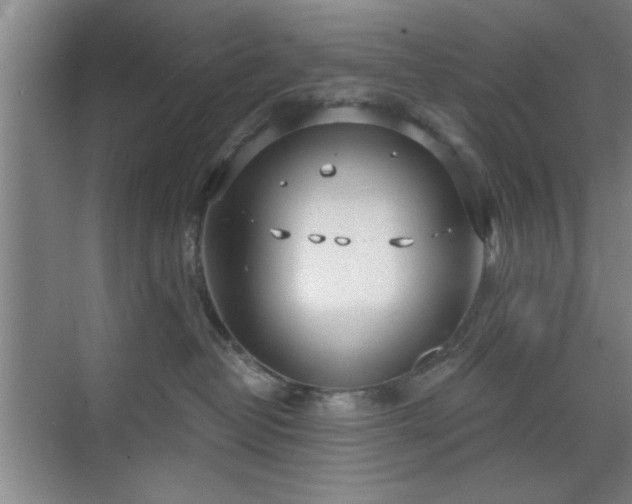 X0000070360382200606121215