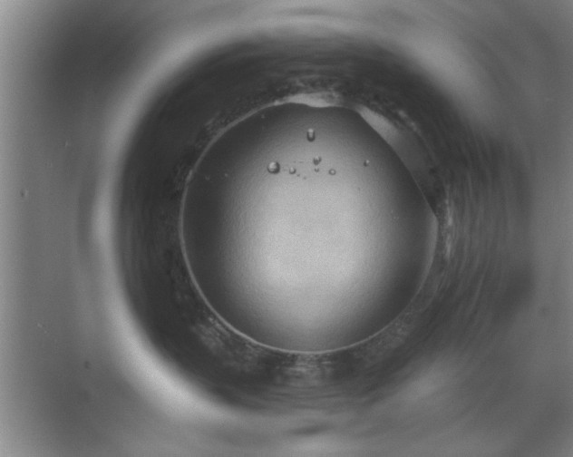 X0000070360383200606121215