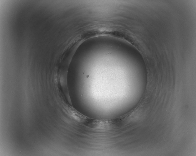 X0000070360384200606121215