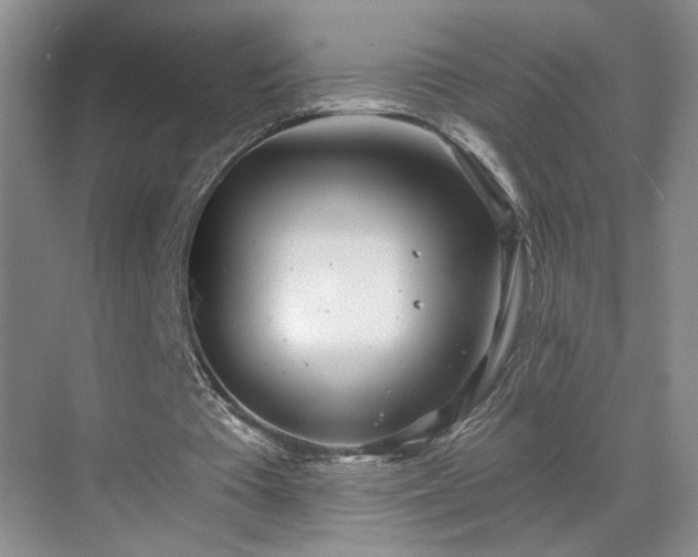 X0000070360385200606121215