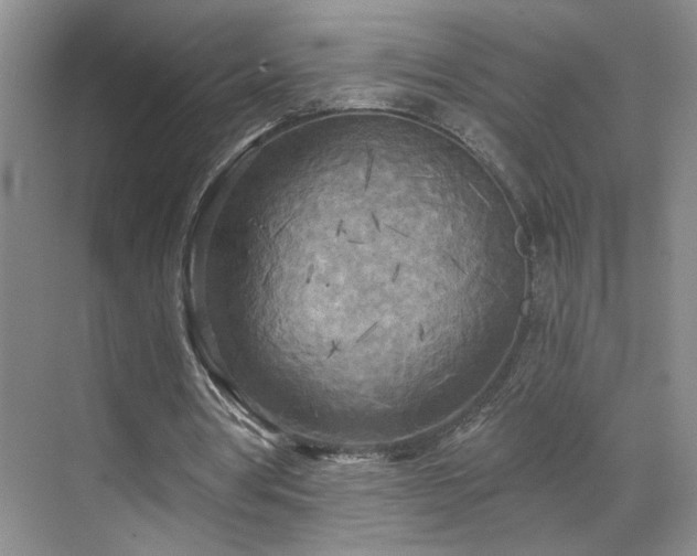 X0000070360386200606121215