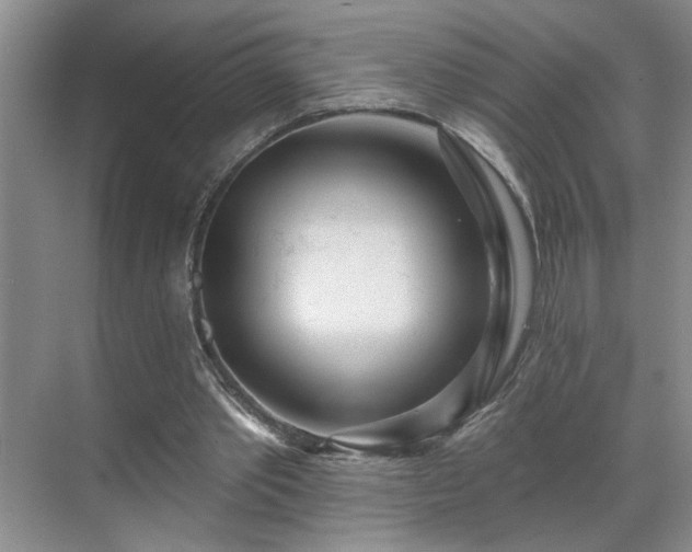 X0000070360389200606121215