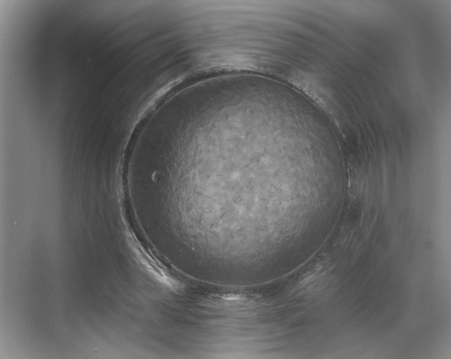 X0000070360390200606121215