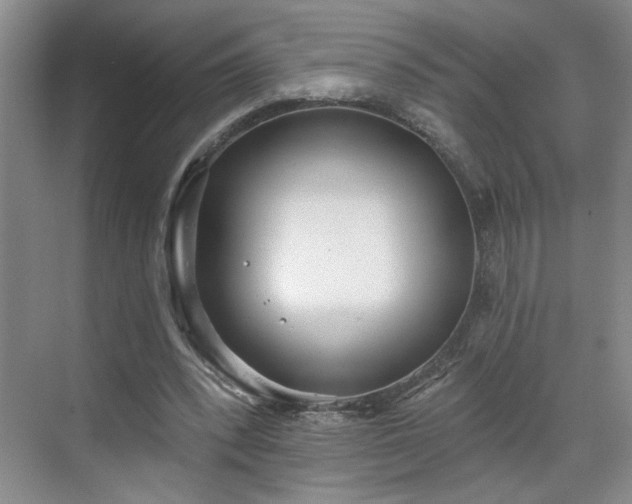 X0000070360392200606121215