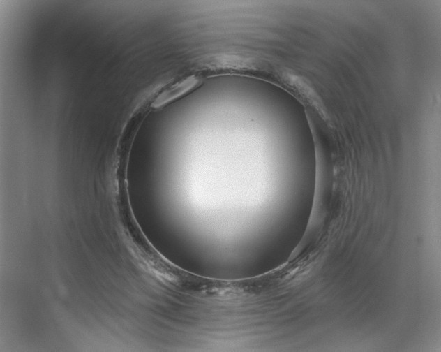 X0000070360395200606121214