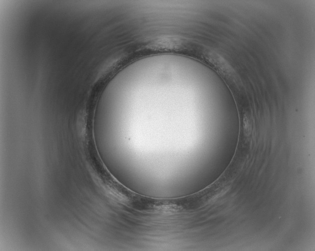 X0000070360396200606121214