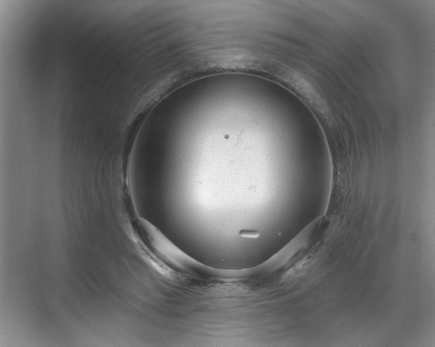 X0000070360397200606121214