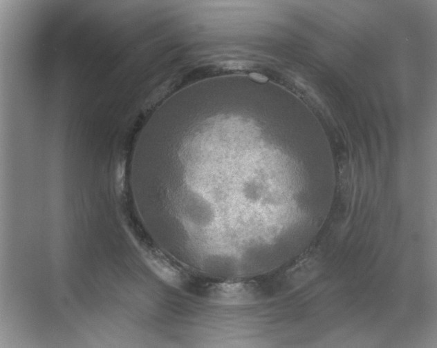 X0000070360406200606121214