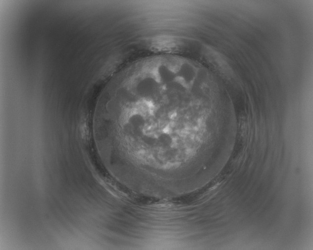 X0000070360408200606121214