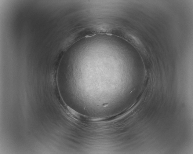 X0000070360409200606121214