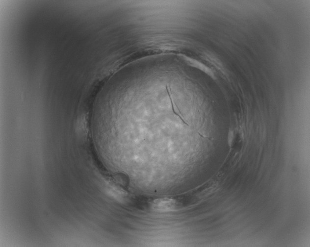 X0000070360410200606121214