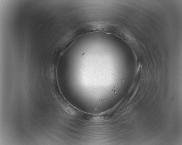 X0000070360413200606121214