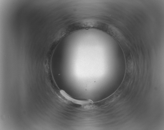 X0000070360414200606121214