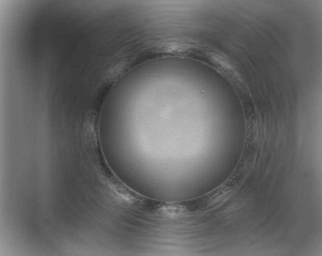 X0000070360415200606121214