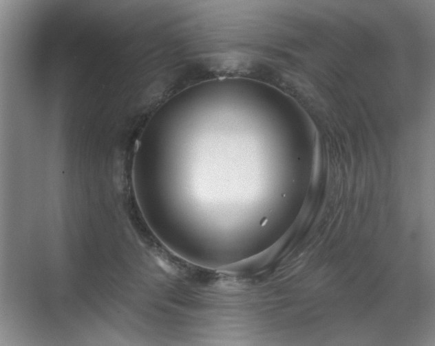 X0000070360416200606121214