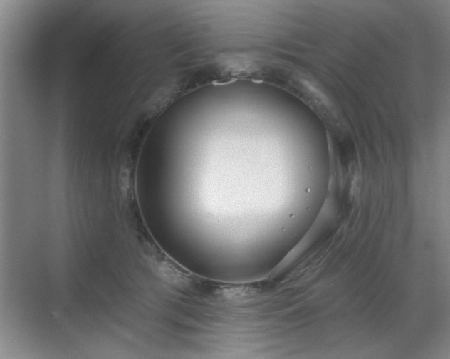 X0000070360417200606121214