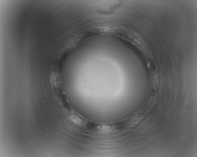 X0000070360419200606121214