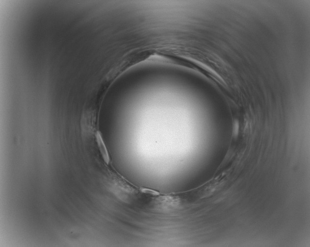 X0000070360421200606121214