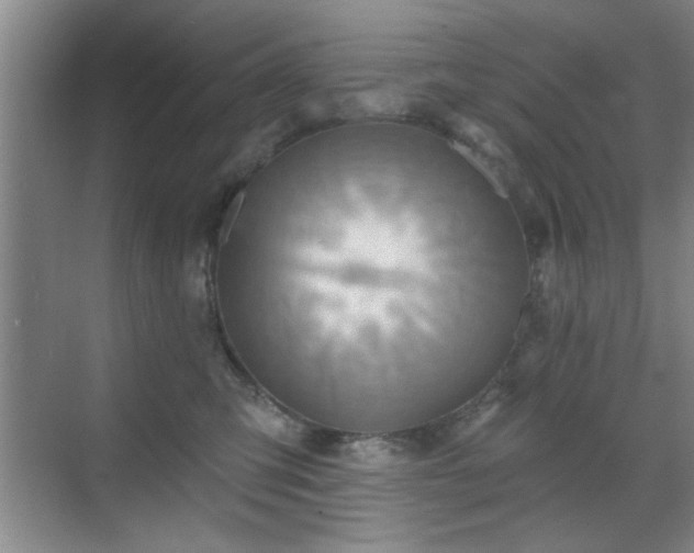 X0000070360423200606121214