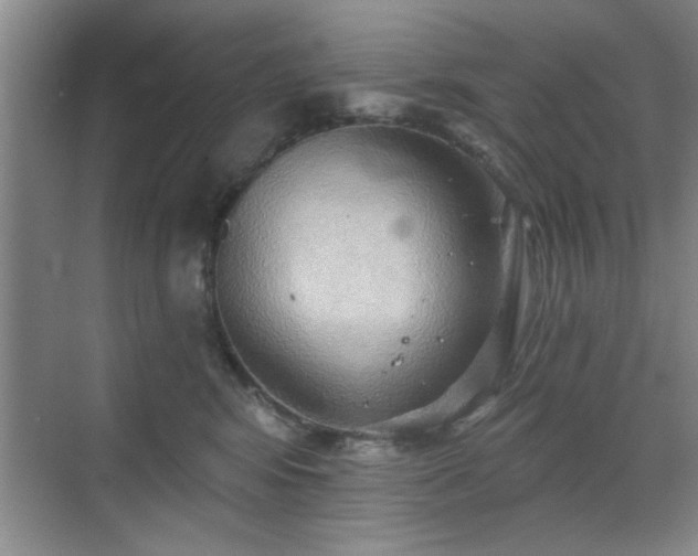 X0000070360424200606121214