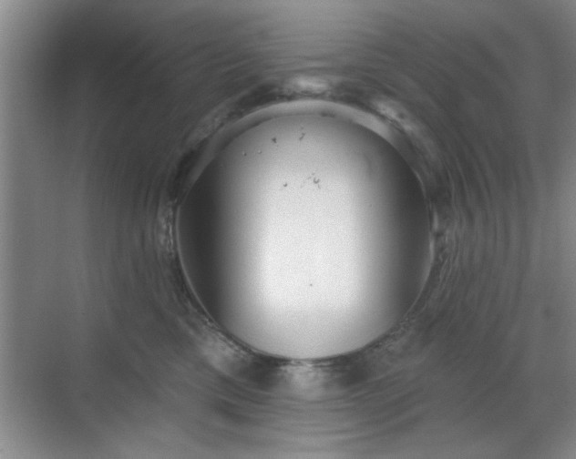 X0000070360425200606121214