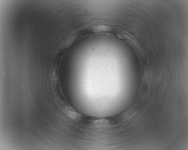 X0000070360426200606121214