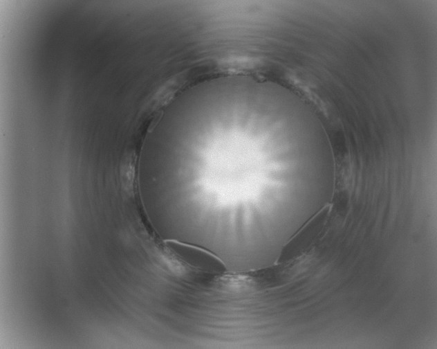 X0000070360427200606121214