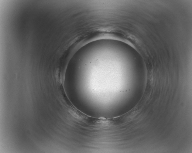 X0000070360428200606121214