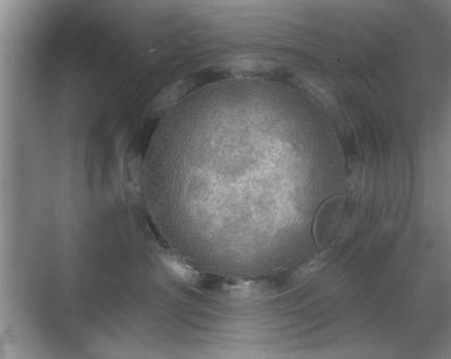 X0000070360430200606121214