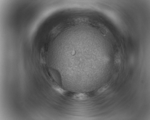 X0000070360431200606121214