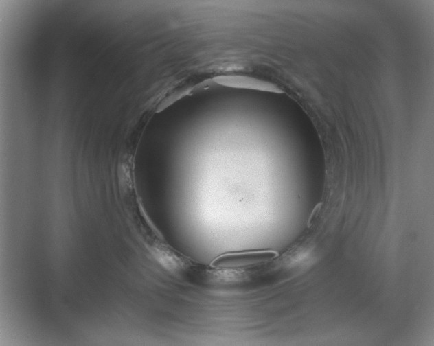 X0000070360432200606121214